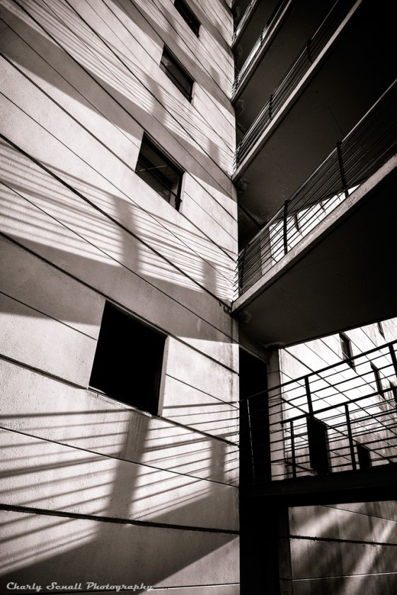 _dsc1189_nov_2015_bin