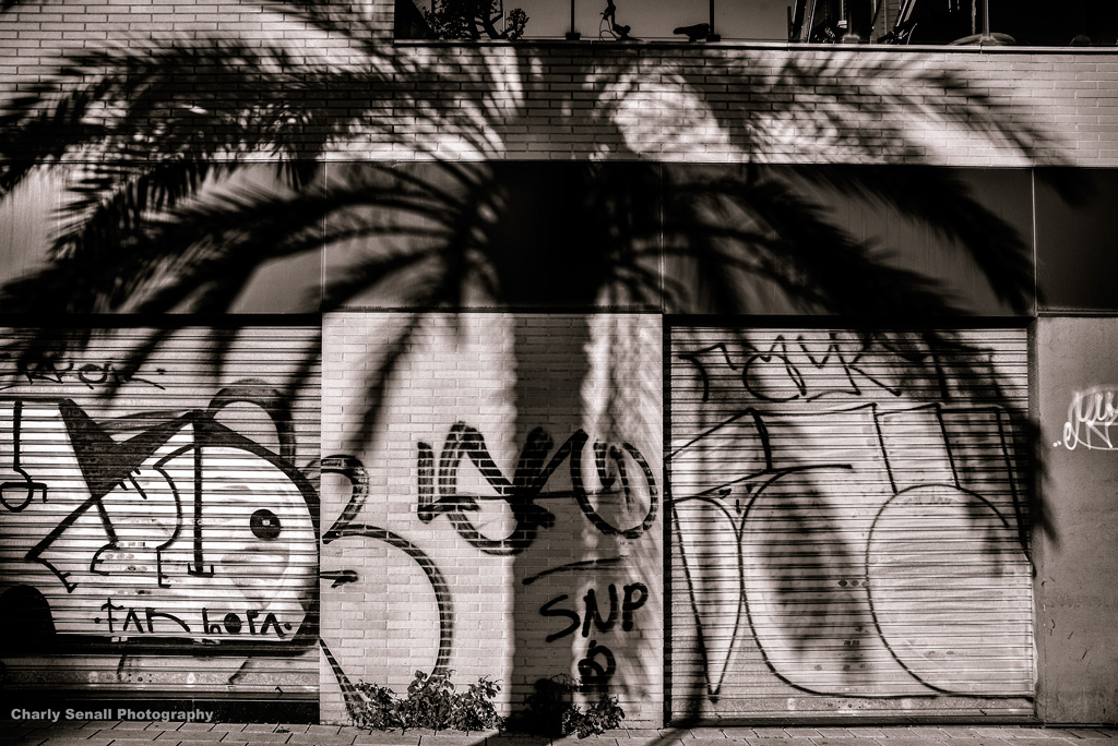 _dsc9633-bin
