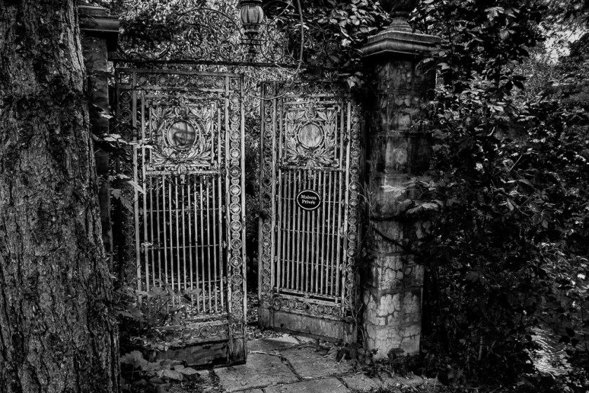 Secret-Garden-Edit (1 of 1)