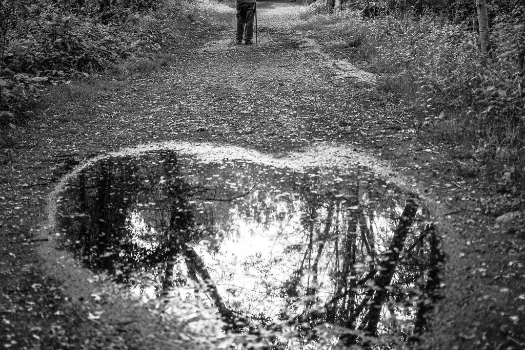 29522162924_e506b530f2_b