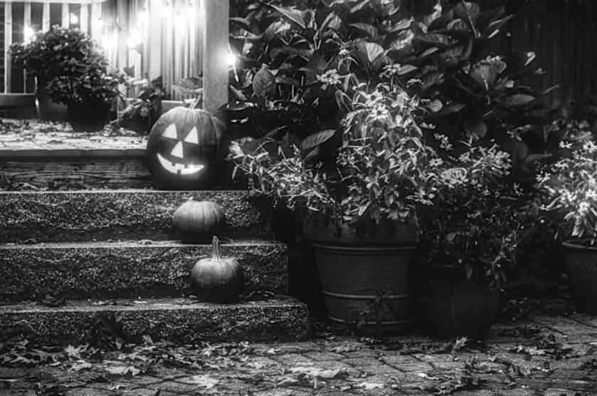 30510336911_a14c5e5c79_b