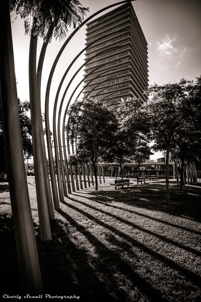 _dsc0885_oct_2015-bin