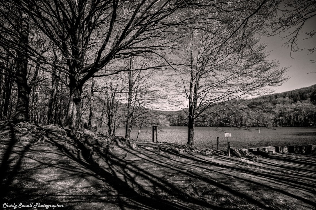 _dsc2506_jun_2016_bin