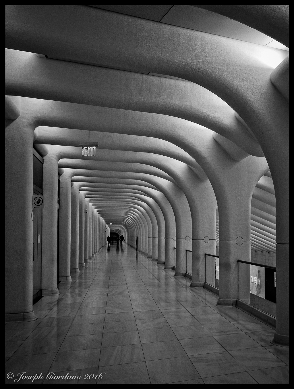 occulus-iii