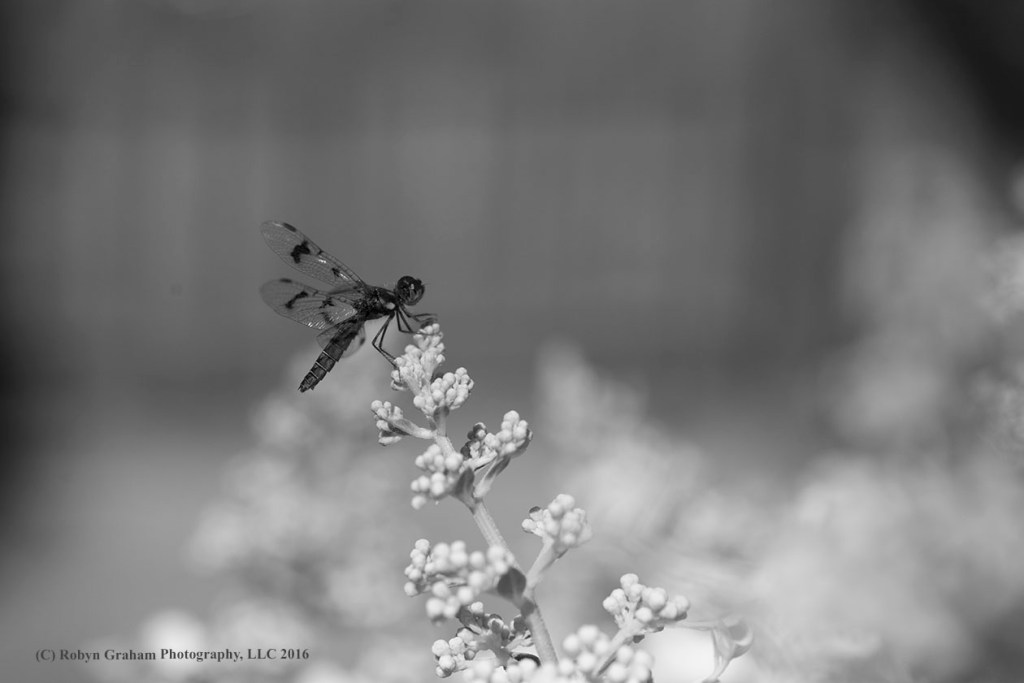 The Small Things In Life