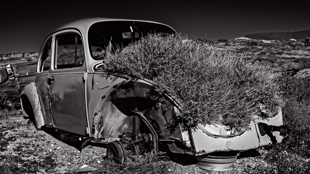 Volkswagen Beetle Goldfield NV