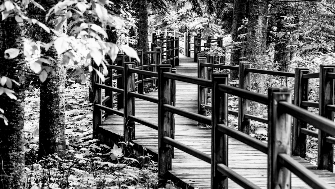 2016-12-30-boardwalk