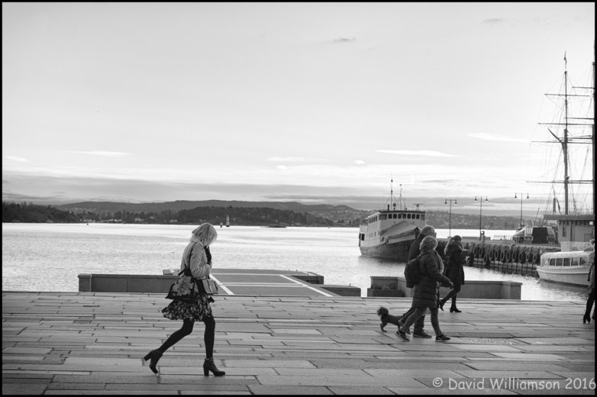 20161103-untitled-shoot-17-edit