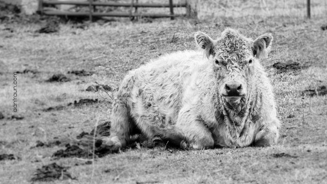 2017-01-06-naturaly-wavy