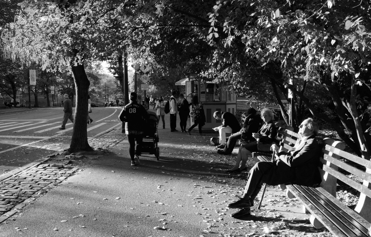 Central Park Sun Basking
