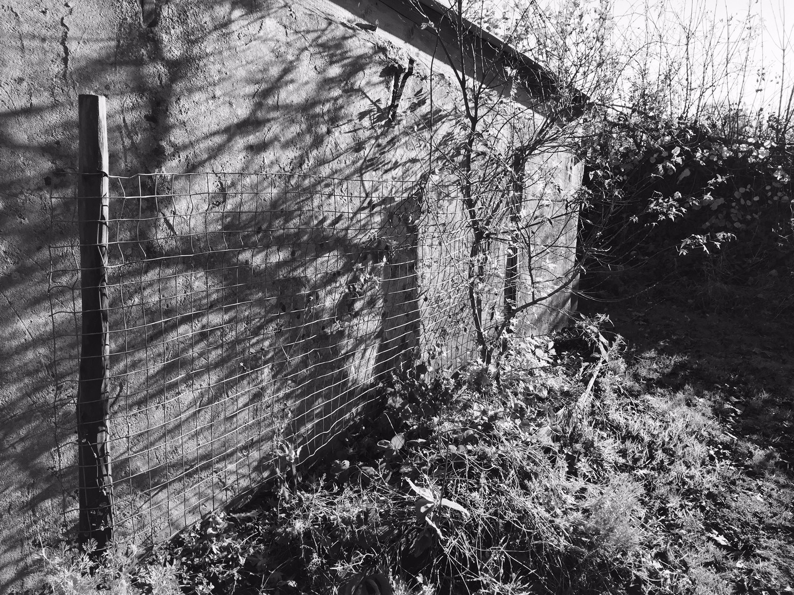 Garden Wall ©Patti Fogarty Garden Wall