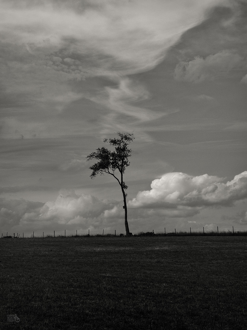 Last One Standing, Roxbury, CT © Steven Willard