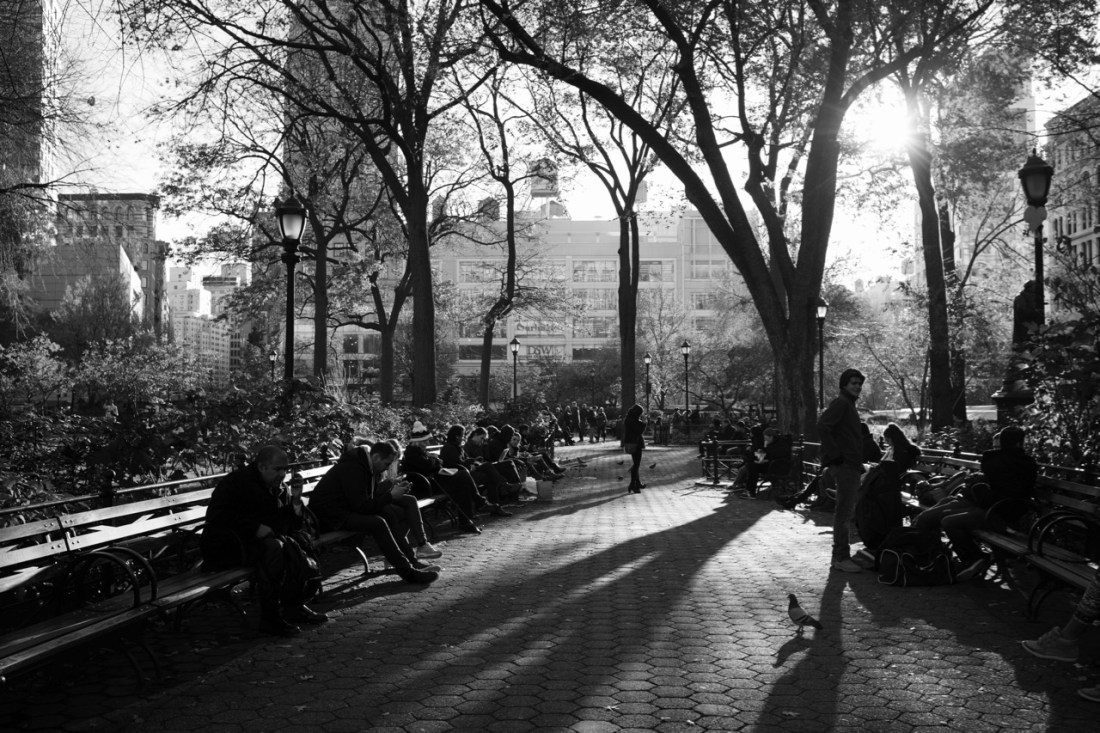 Afternoon Light ©Patti Fogarty