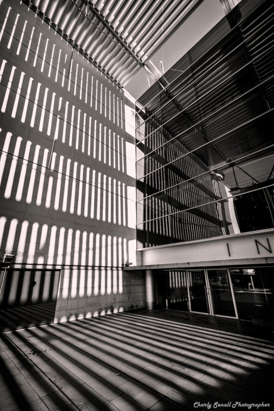 _dsc0138_nov_2016_bin