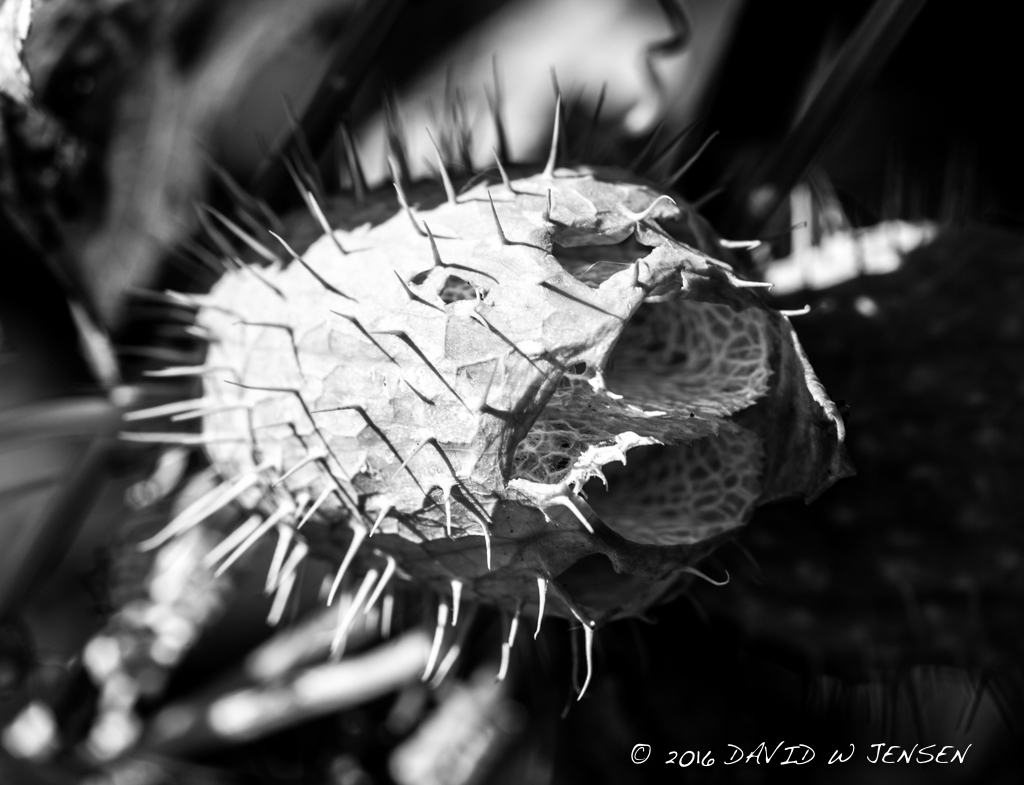 img_0035