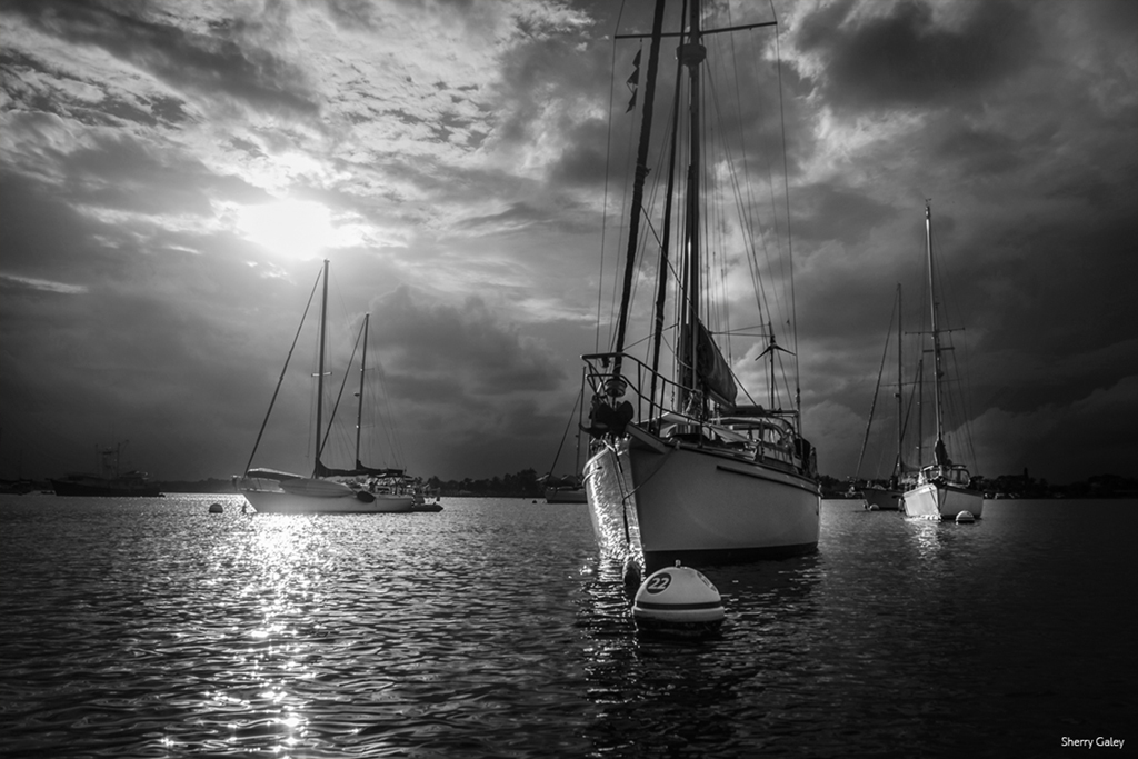 sailboats-in-sunset-bay-bw-for-monochromia