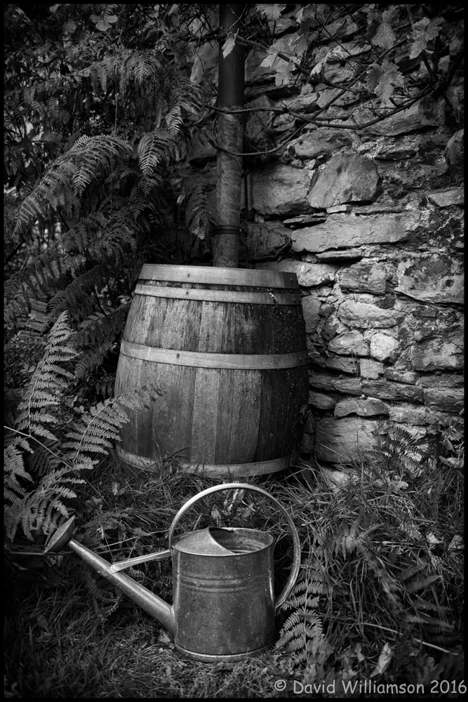 20160925-untitled-shoot-63-edit