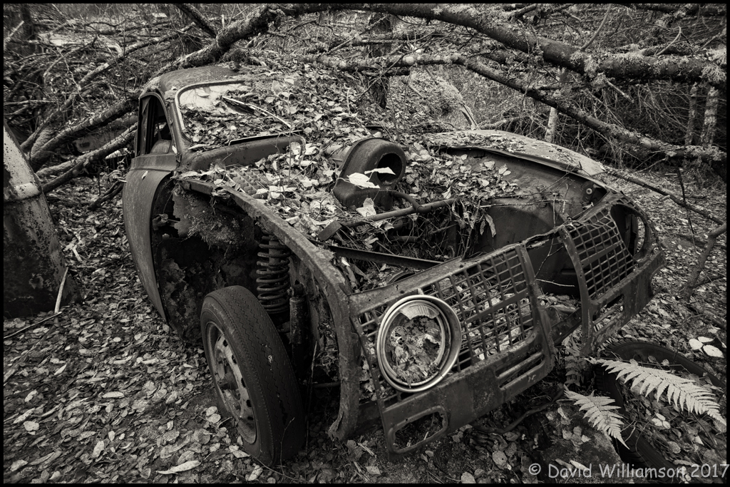 20151031-untitled-shoot-37-edit