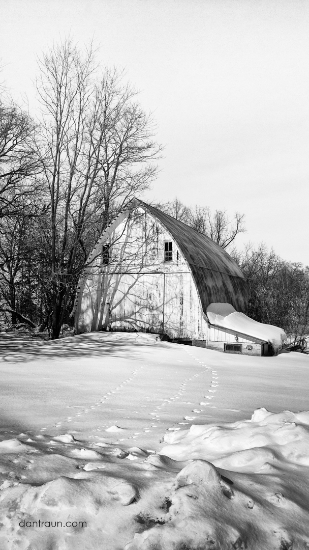 2017-03-01-critter-tracks