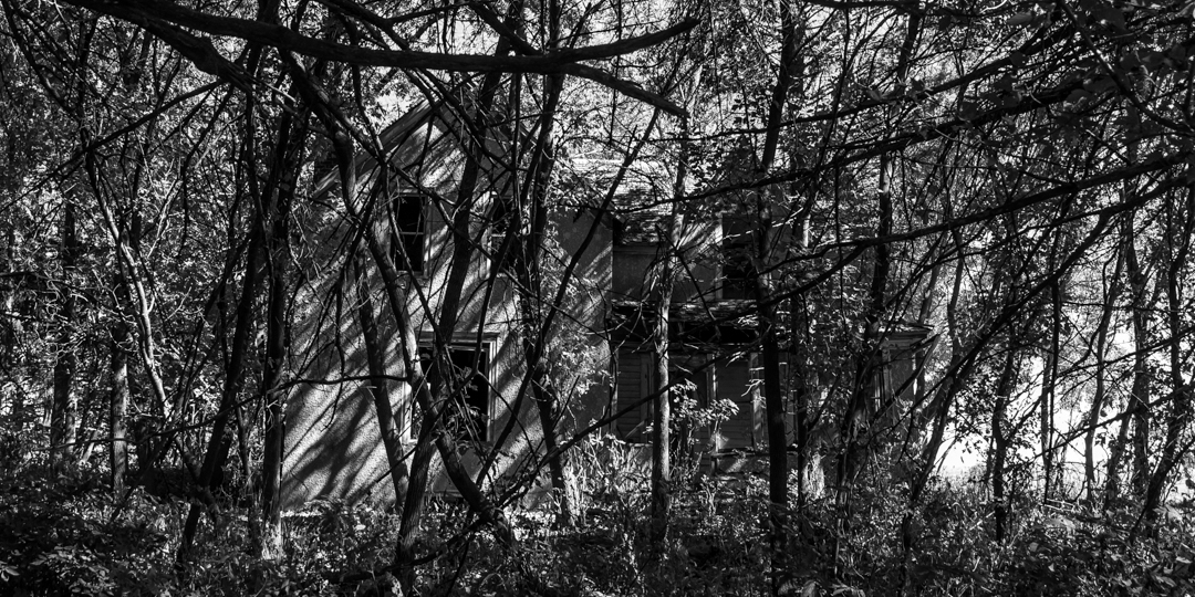 2017-03-31-hose-in-the-wood