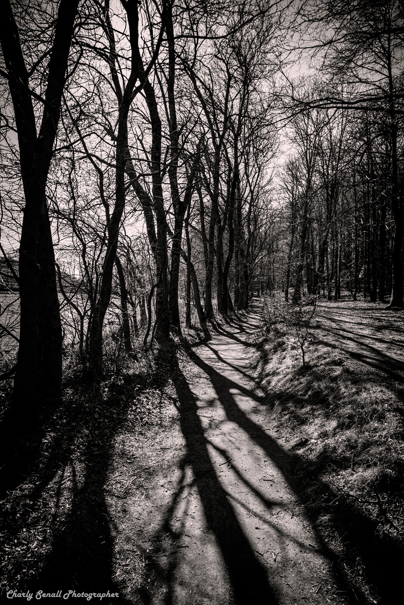 _dsc2509_jun_2016_bin