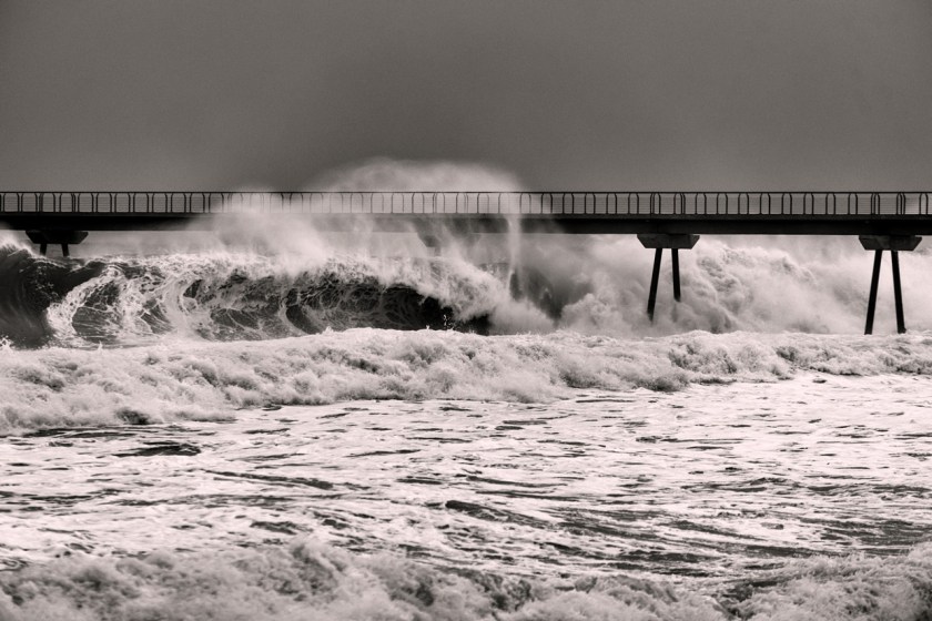 _dsc3275_ene_2017_bin