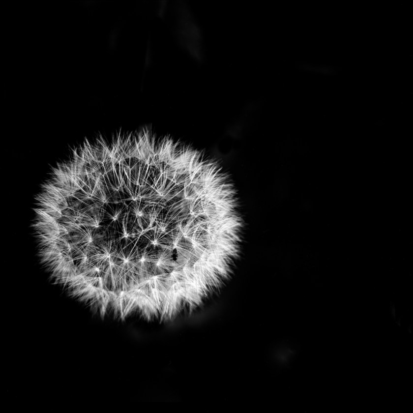 20140527-untitled shoot