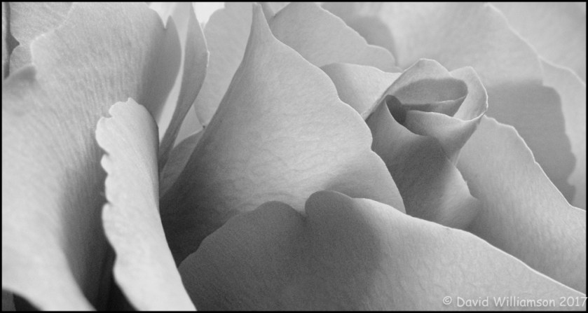 IMG_2246_Aperture_preview-Edit