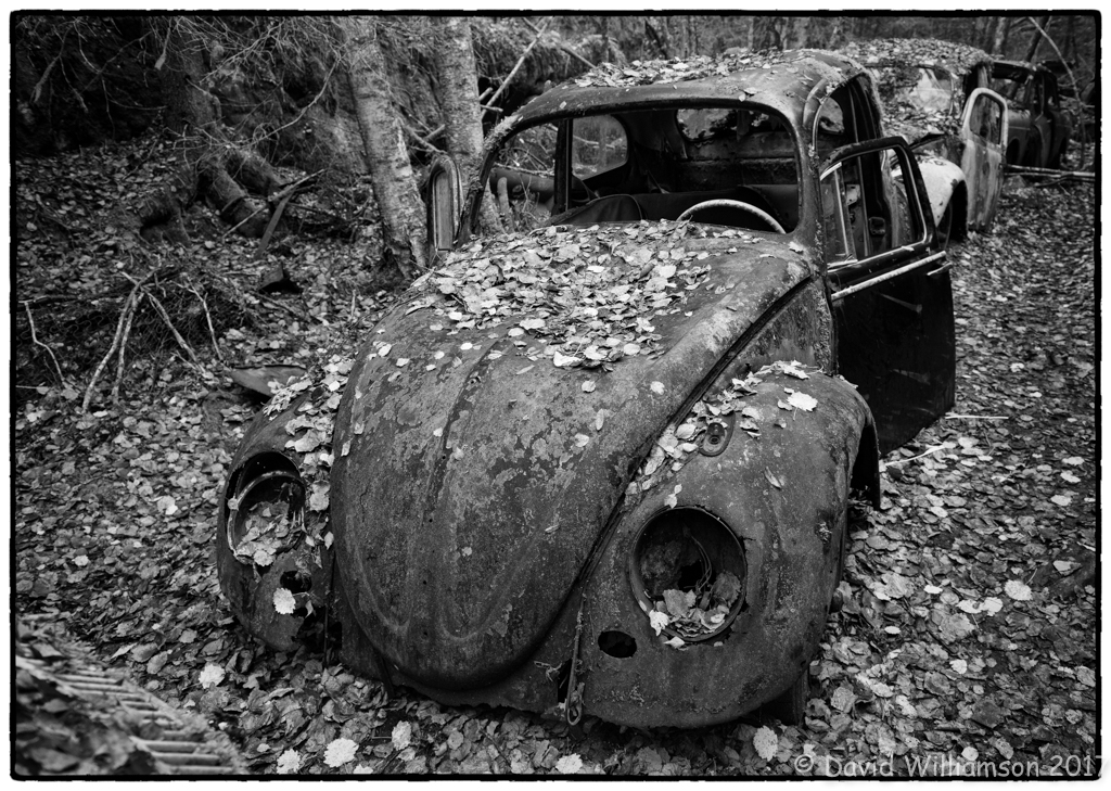 20151031-untitled shoot-125-Edit