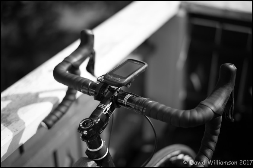 20170608-untitled shoot-3-Edit