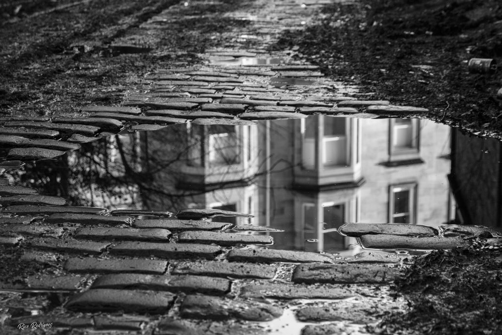 Glasgow-cobbles
