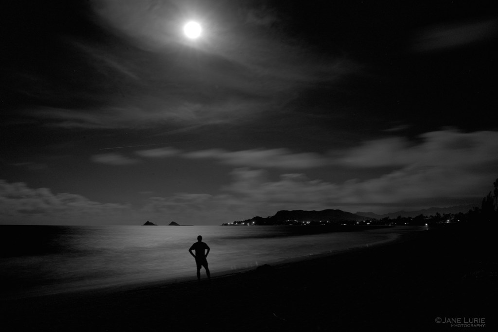 Night Photography, Moon, Nature, Portrait,