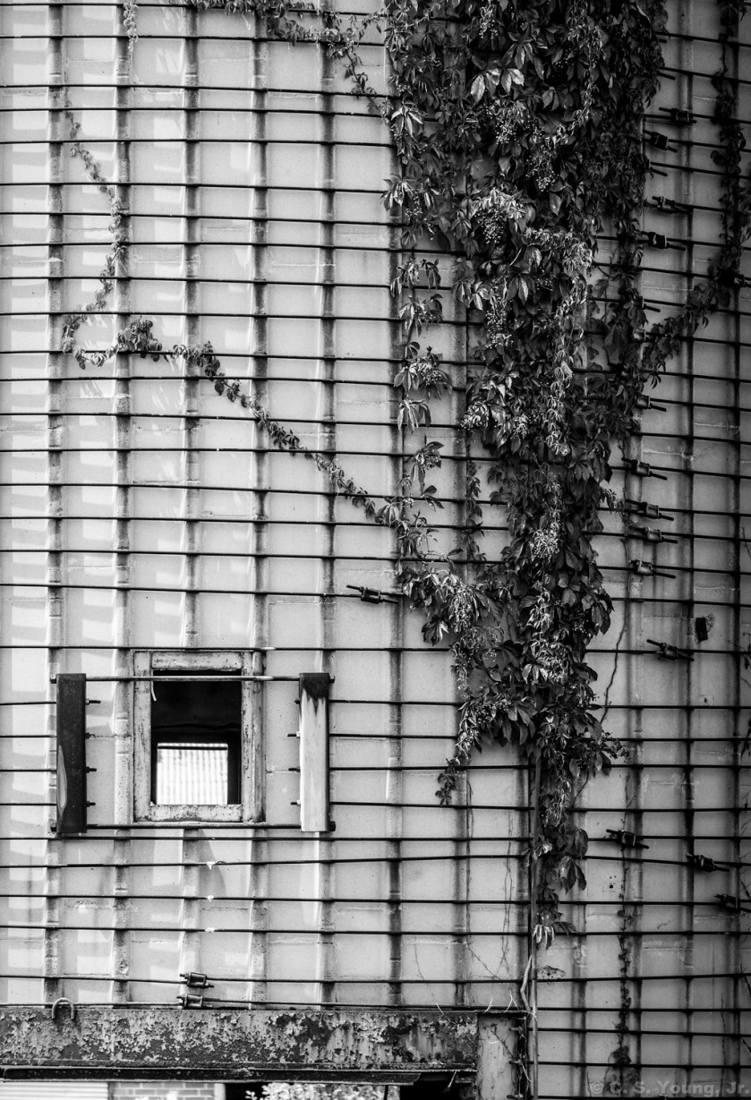 Link Taylor Silo Composition 1