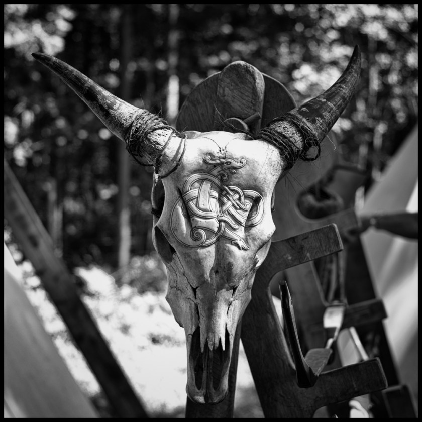 20170701-untitled shoot-21-Edit