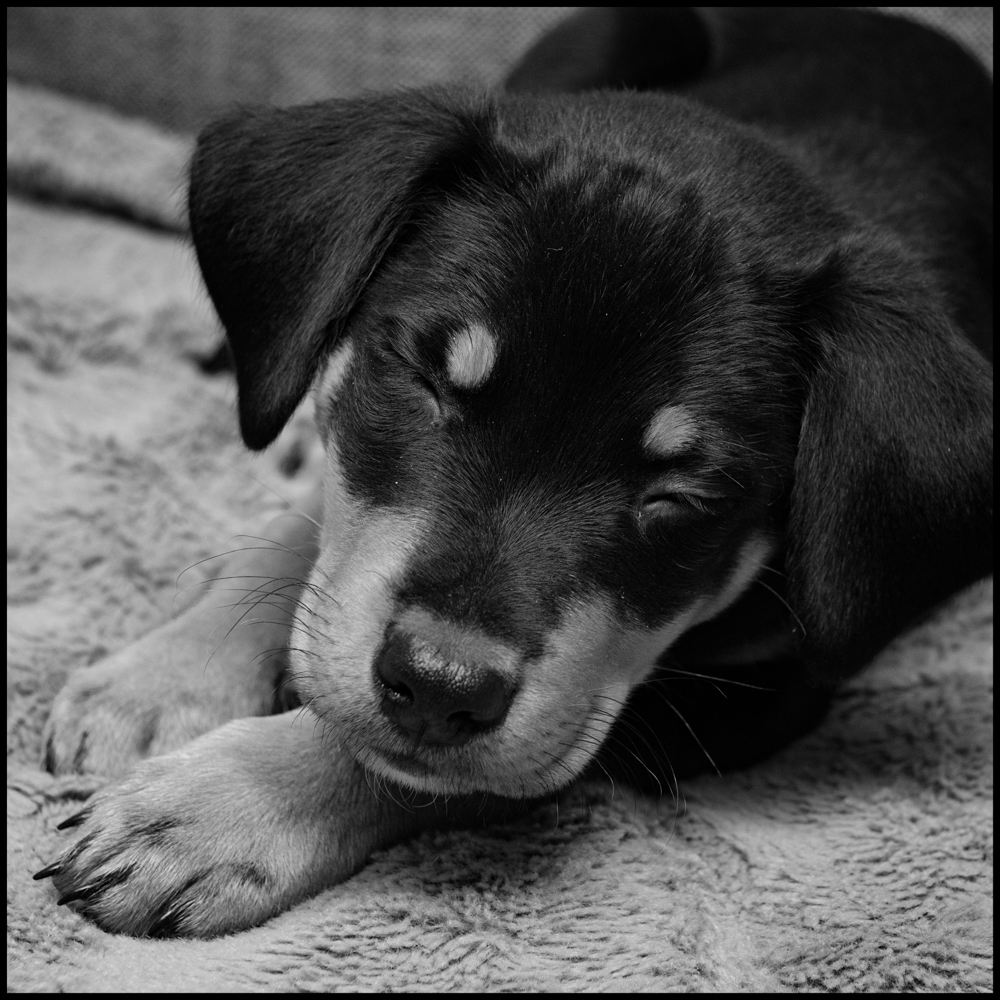 20171224-untitled shoot-6-Edit