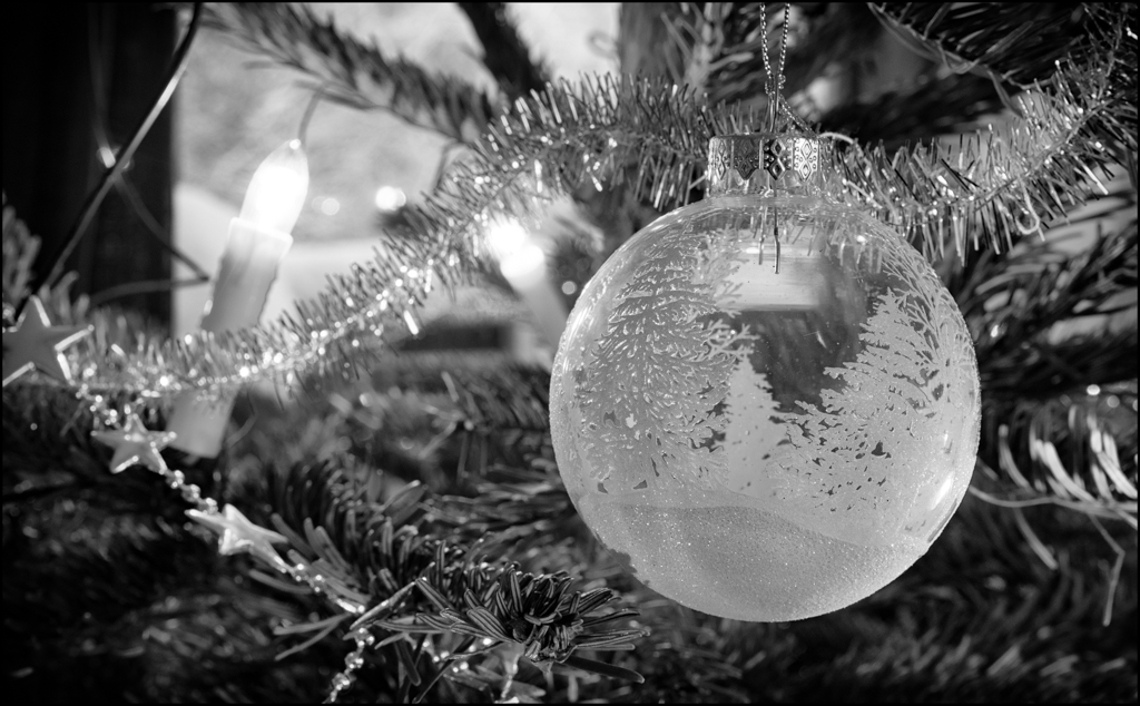 20171228-untitled shoot-14-Edit