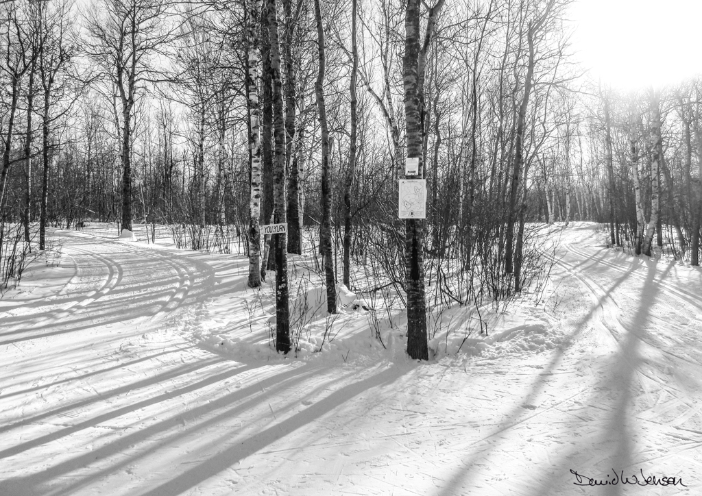 IMG_0001-Edit2