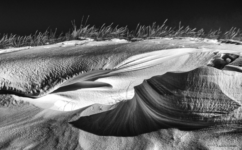 IMG_0020-Edit-2-Edit