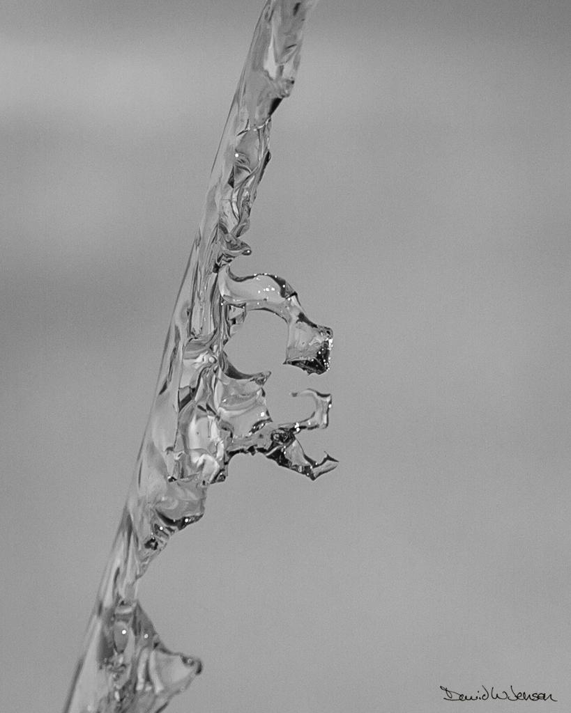 IMG_6853-Edit
