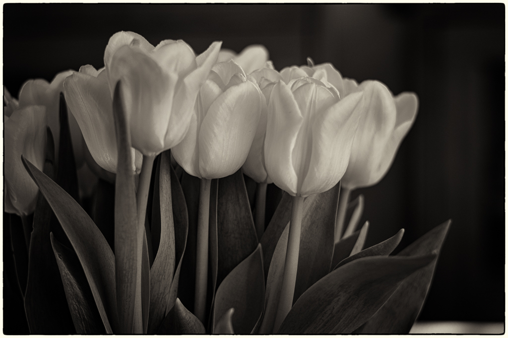 20180330-untitled shoot-6-Edit