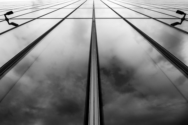 lines