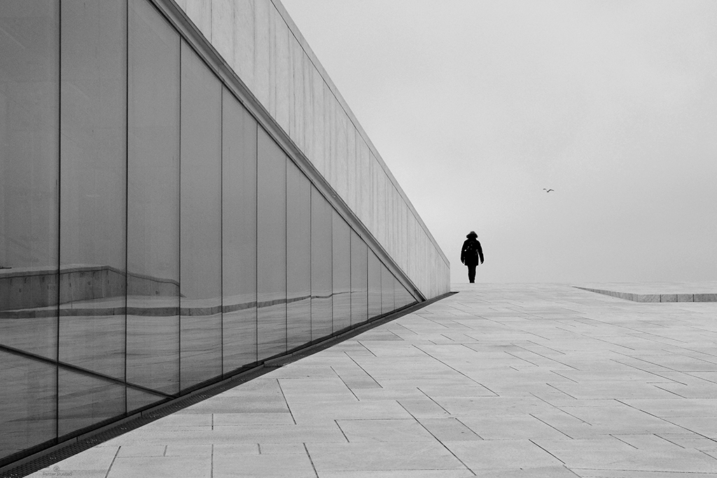 Morning at the Opera