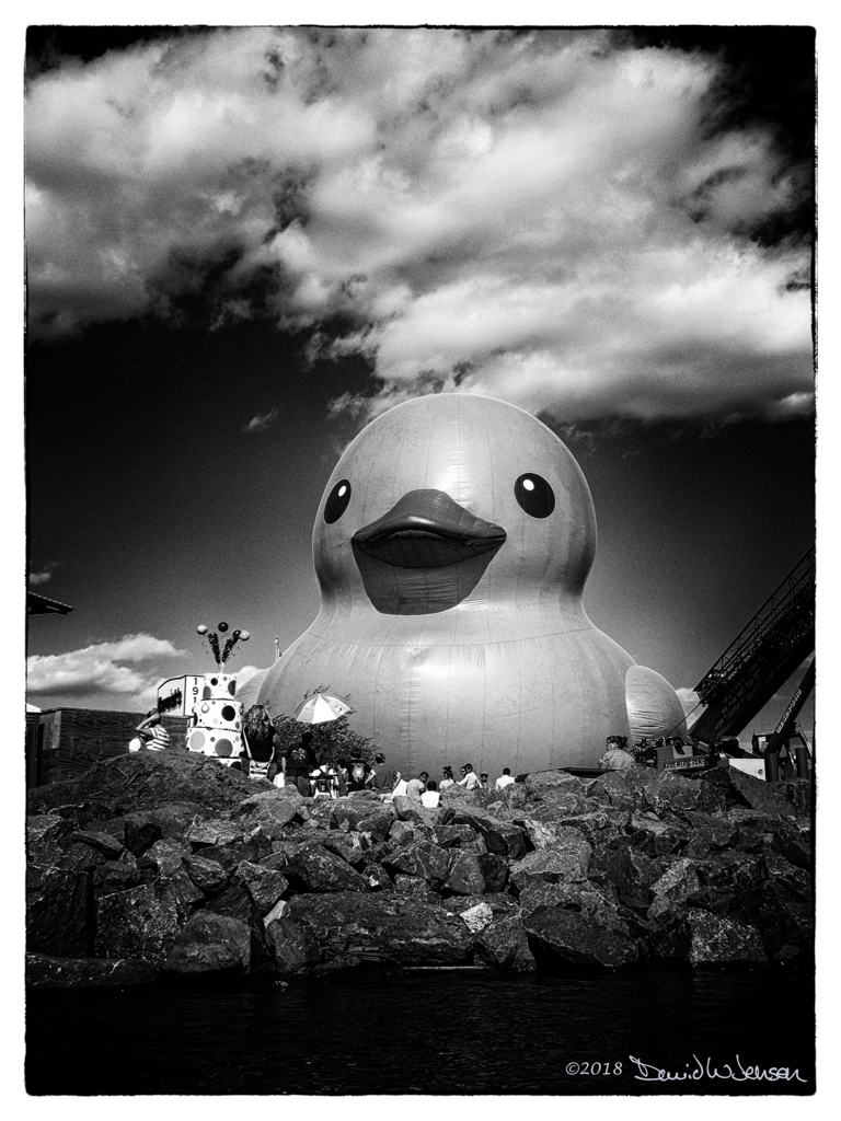 Big_Ass_Duck