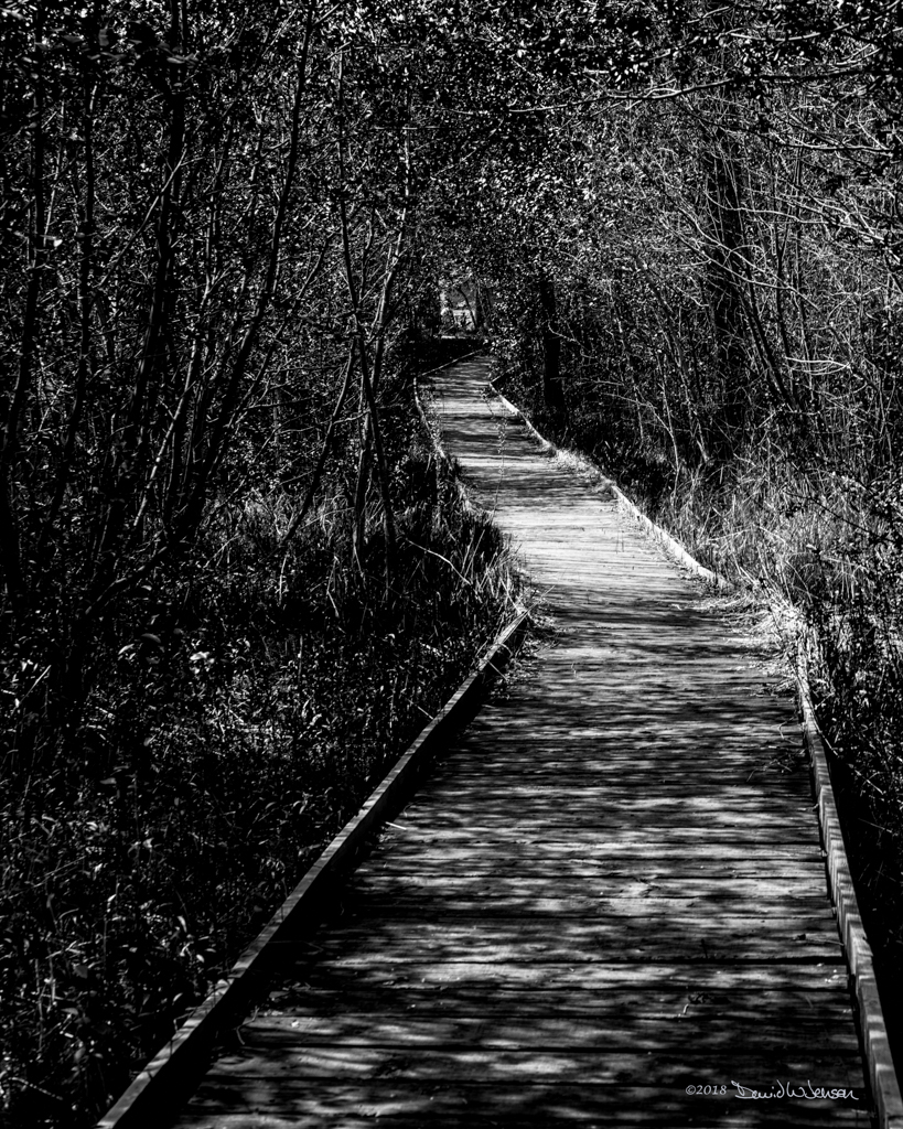 IMG_0029-Edit-Edit