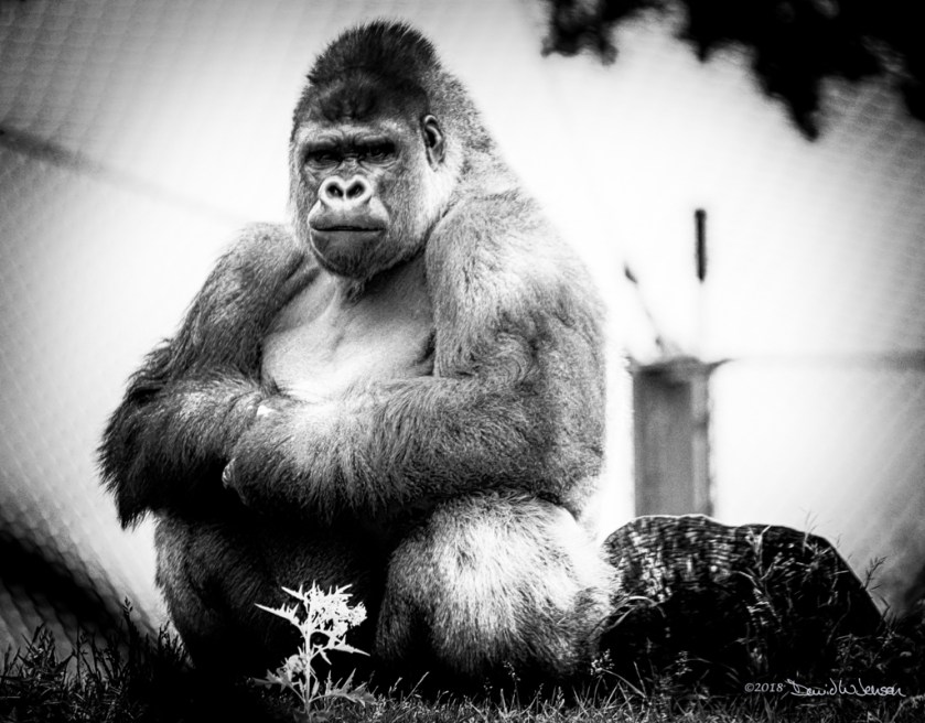 NVM_0110-Edit-Edit-Edit