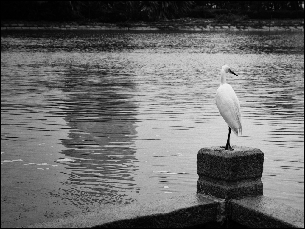 20180617-untitled shoot-7-Edit