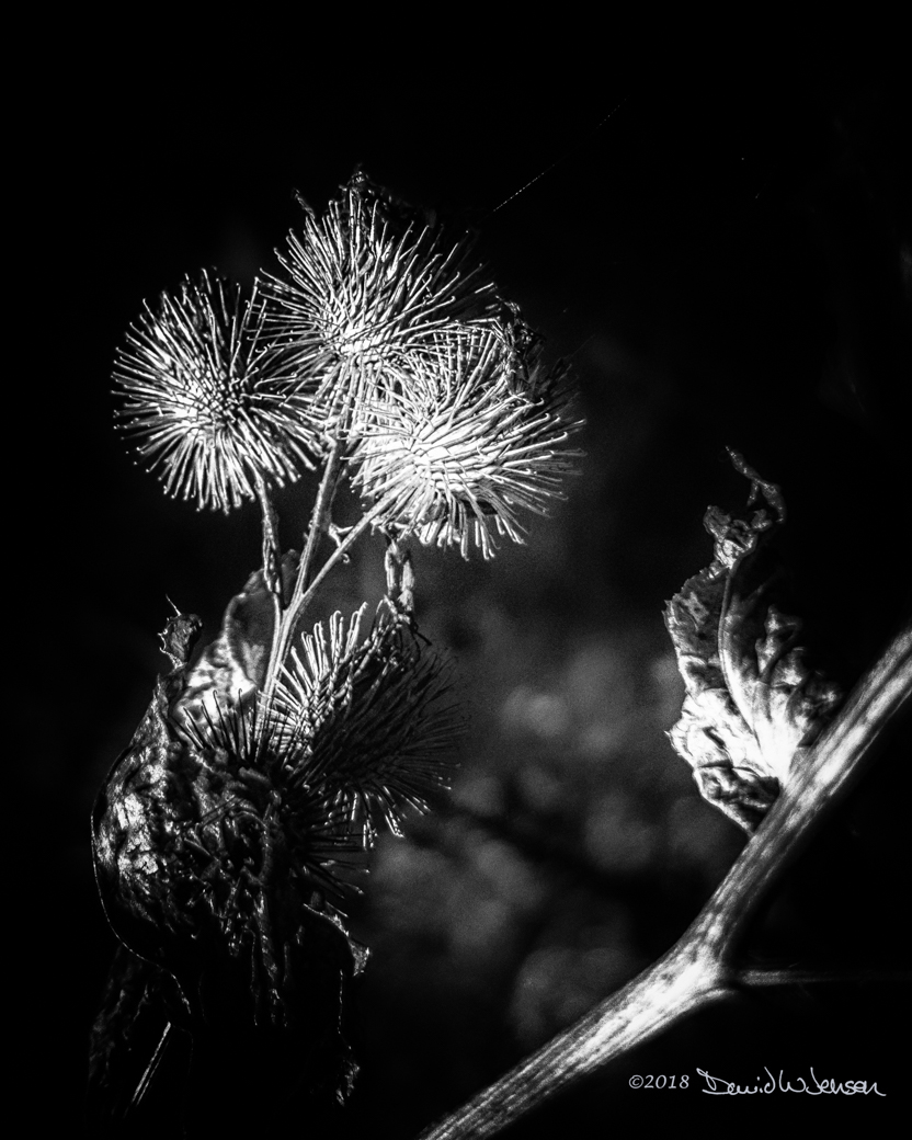 NVM00032-Edit-Edit-2