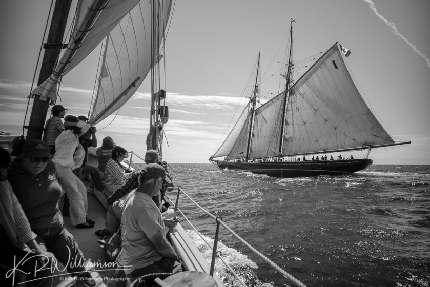 schooners-1
