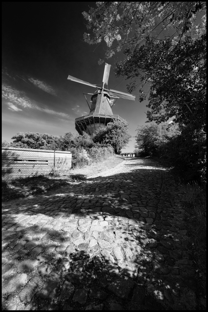 20180626-untitled shoot-61-Edit