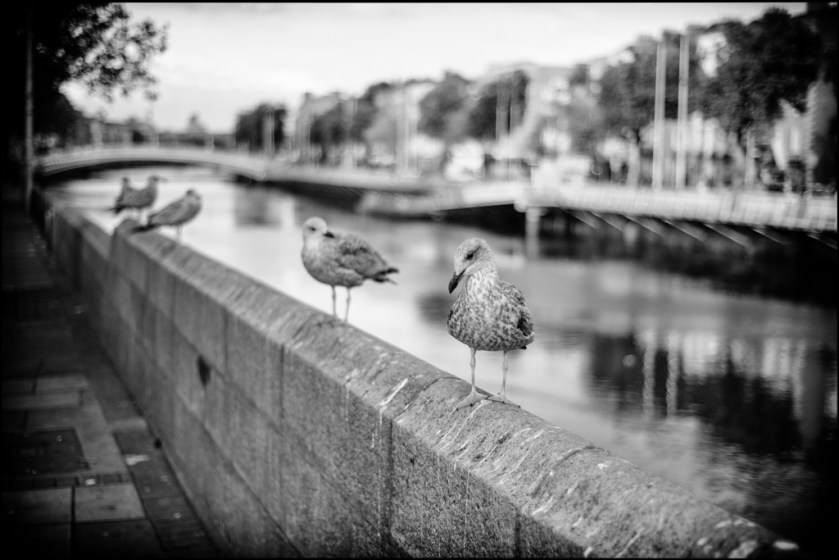 20181011-untitled shoot-3-Edit